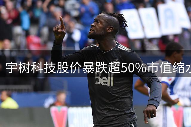 宇树科技股价暴跌超50%市值缩水 创始人发声呼吁价值投资